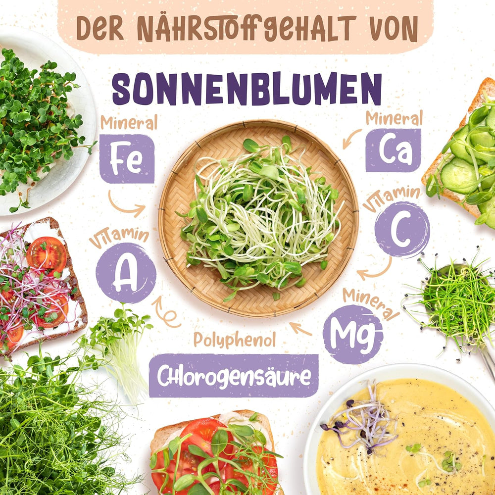 Bio Sonnenblumen Samen - Wähle Zwischen 10G, 200G Und 500G - Sonnenblume Mit Keimrate Von Über 97% - Keimsprossen - Sonnenblumensamen Zum Sprossen Ziehen - Wiederverschließbare Verpackung