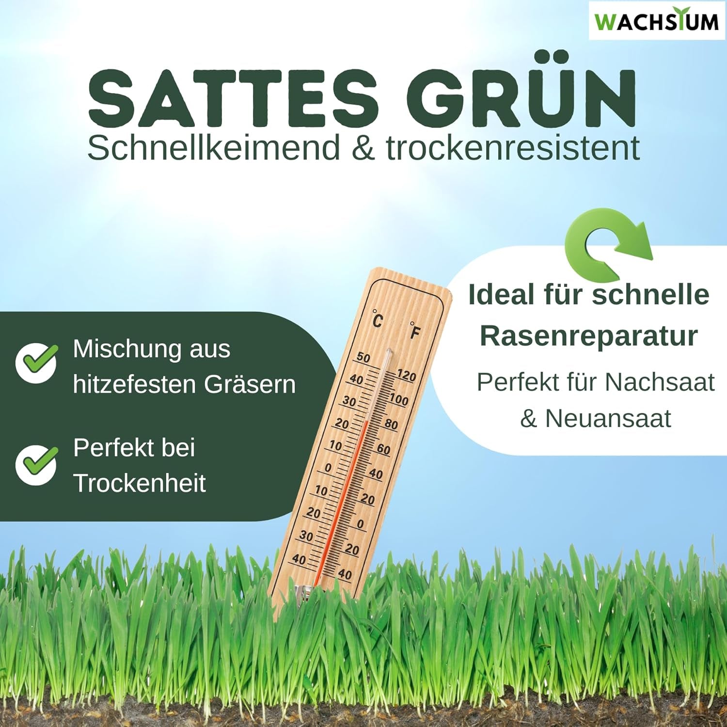 Rasensamen Schnellkeimend 0,5 Kg – Frühjahr Und Sommer Premium Grassamen Nachsaat, Dichter Strapazierfähiger Rasen, Mähroboter Geeignet – Kräftiges Wachstum (Bis 20 M²), RSM Qualität,