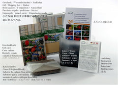 SAFLAX - Geschenk Set - Afrikanischer Affenbrotbaum - 6 Samen - Mit Geschenk- / Versandbox, Versandaufkleber, Geschenkkarte Und Anzuchtsubstrat - Adansonia Digitata