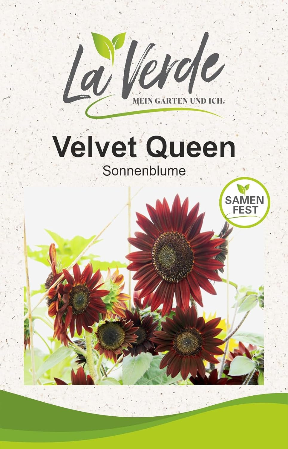La Verde MEIN GARTEN UND ICH. Astra Rose Sonnenblumen Samen Für Ca. 50 Pflanzen, Blumensamen Halb Gefüllt Und Lang Blühend, Saatgut Ohne Gentechnik