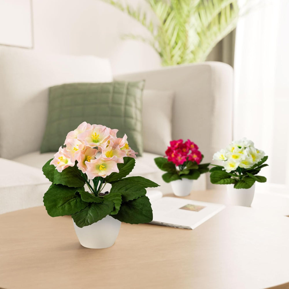 PASCH® Begonie Im Hochglanz-Keramiktopf | Kunstblumen Im Topf | Künstliche Blumen Wie Echt | Fake Blumen | Kunstblumen Wie Echt (Japanische Begonie, 3 Stück, 16Cm)