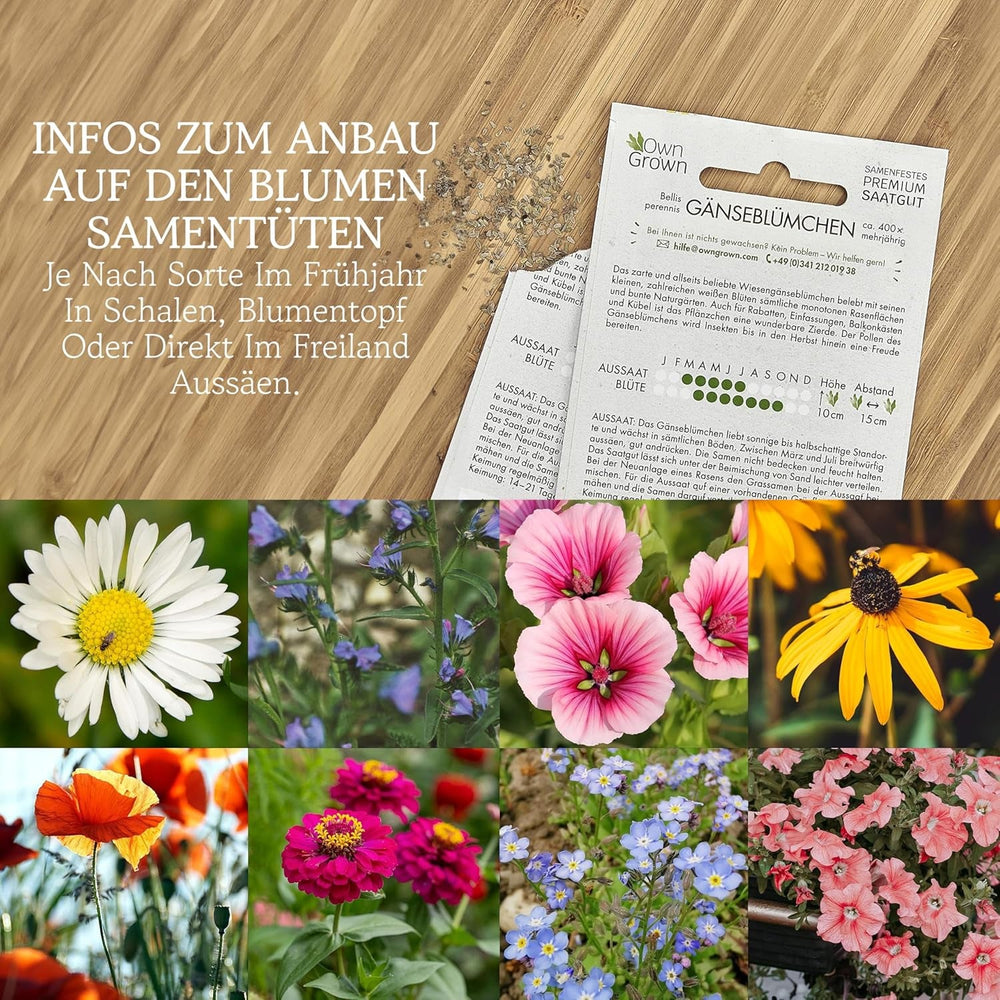 Semințe de flori pentru grădină și balcon: 10 varietăți de semințe de flori premium ca set de semințe de plante – semințe de flori de balcon – semințe de flori sălbatice pentru balcon și grădină de la OwnGrown