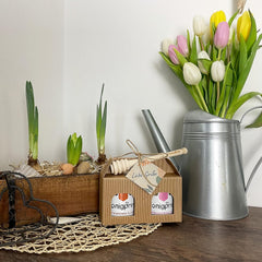 Honig Geschenkset "LIEBE Grüße" Mit Honiglöffel Aus Buchenholz Und Grußkarte - 1X250G Sanddorn Cremig Und 1X250G Frühtracht Cremig - 100% Deutscher Honig Honigprinz Familien-Imkerei