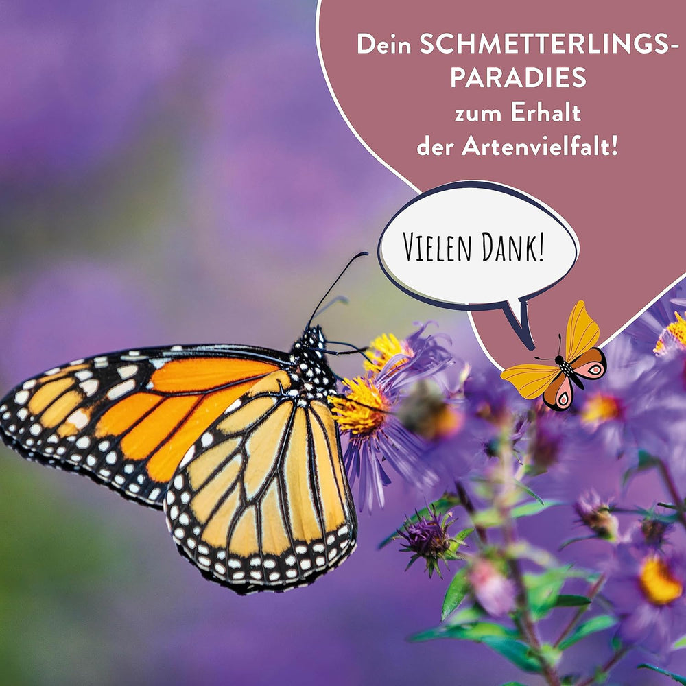 Schmetterlingswiese I 200 G I Blumenmischung Für 200 M² I Blumenwiese Samen Mehrährig Und Einjährig I Wildblumensamen Für Schmetterlinge Und Bienen I Wiesenblumen Samen