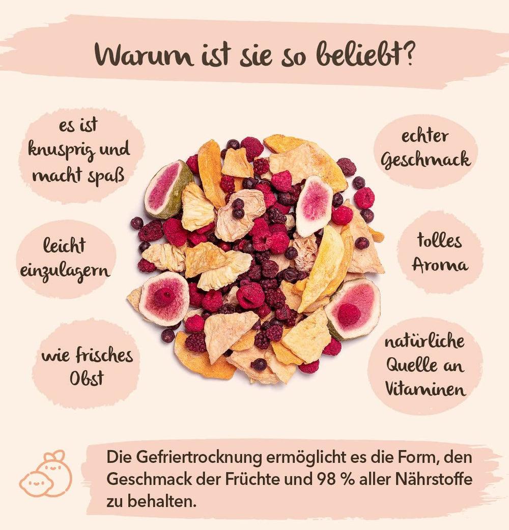 Fructe liofilizate BRIX | Amestec natural, uscat, de fructe tropicale 80 g | Premiul Great Taste pentru fructe uscate | Fără OMG, fără gluten, vegan, vitaminele sunt păstrate Produse deshidratate Naty Shop